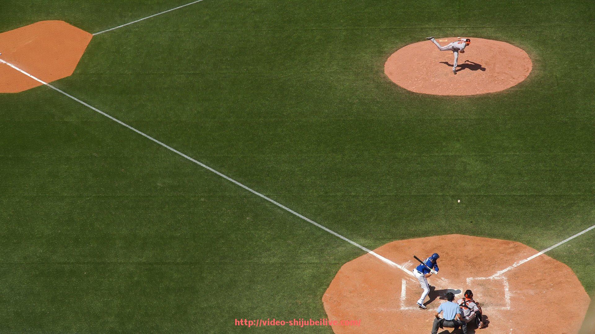 世俱杯直播-揭秘世俱杯球迷现场涂装活动的精彩瞬间