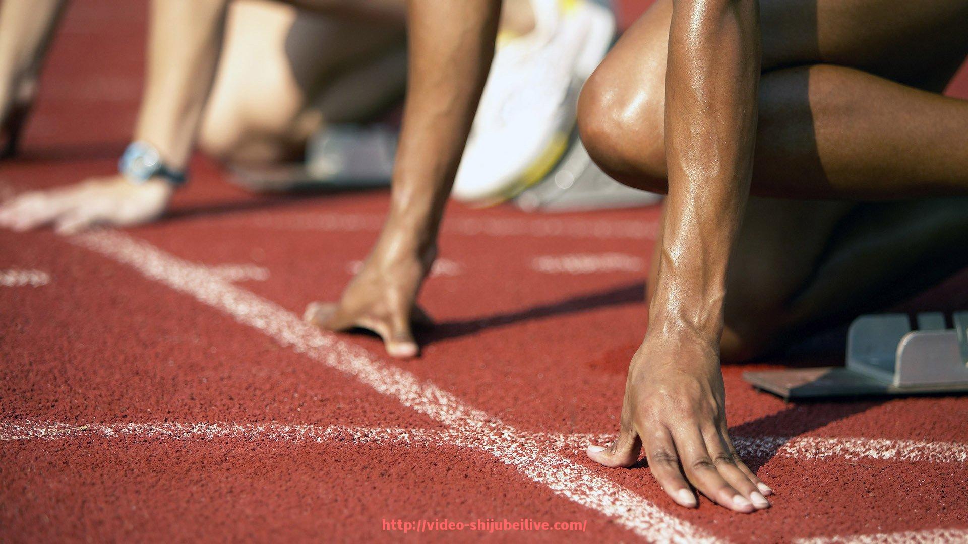 世俱杯直播-国产健身器材厂家推荐与产品优势